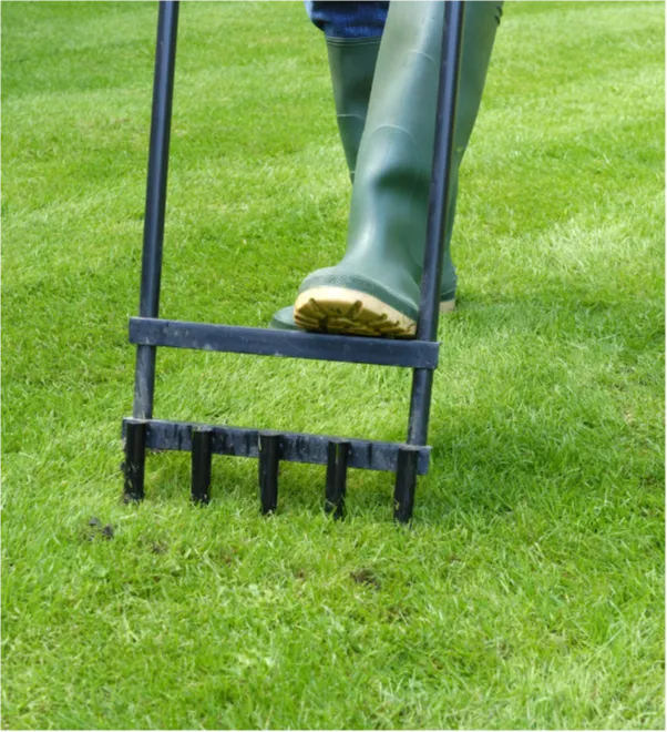 aeriation-1 Person wearing green boots using a manual lawn aerator on green grass.