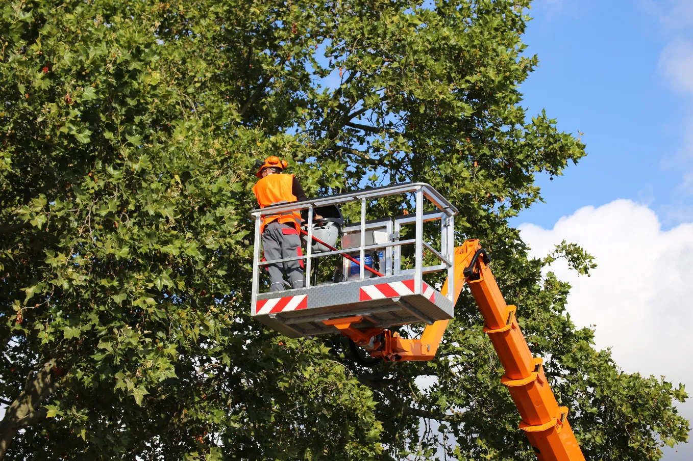Worker in orange safety gear trims tree branches from a raised platform against a blue sky.