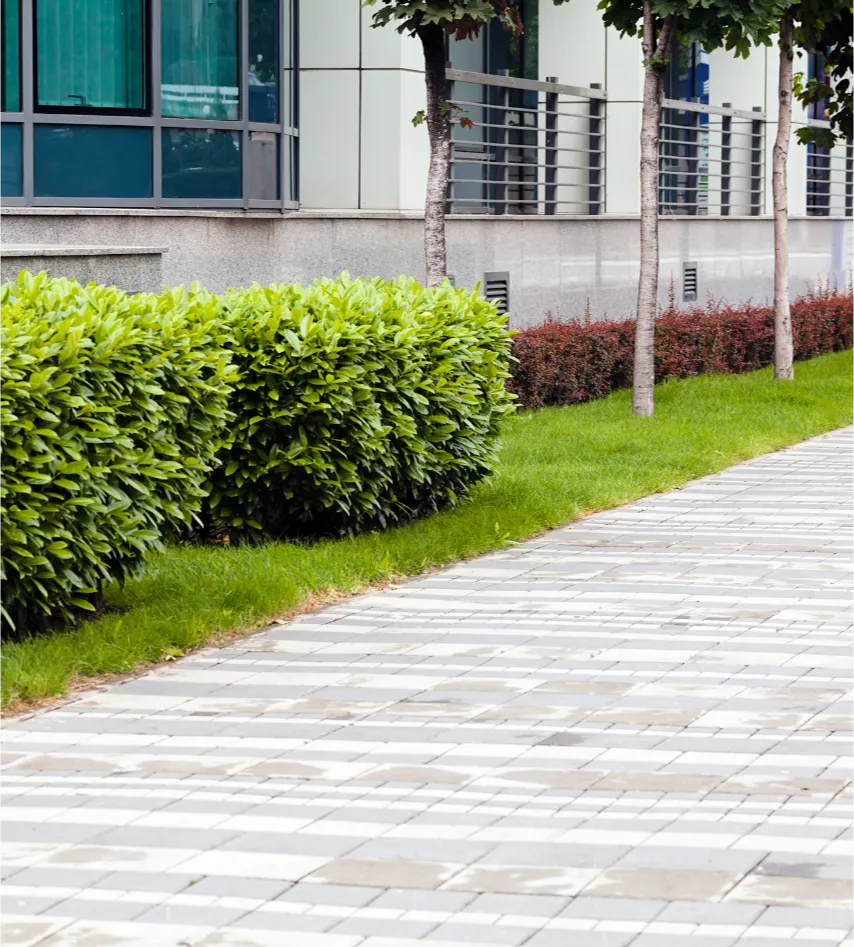 comm-landscape-2 Sidewalk next to green bushes and trees in front of a modern building with glass windows.