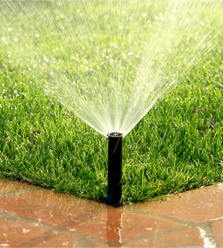 irrigation-1 A lawn sprinkler sprays water over green grass next to a wet brick patio.