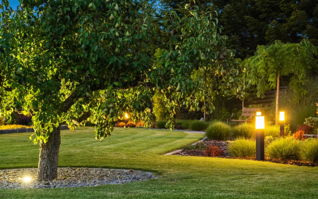 What’s the Difference Between Hardscaping and Landscaping?