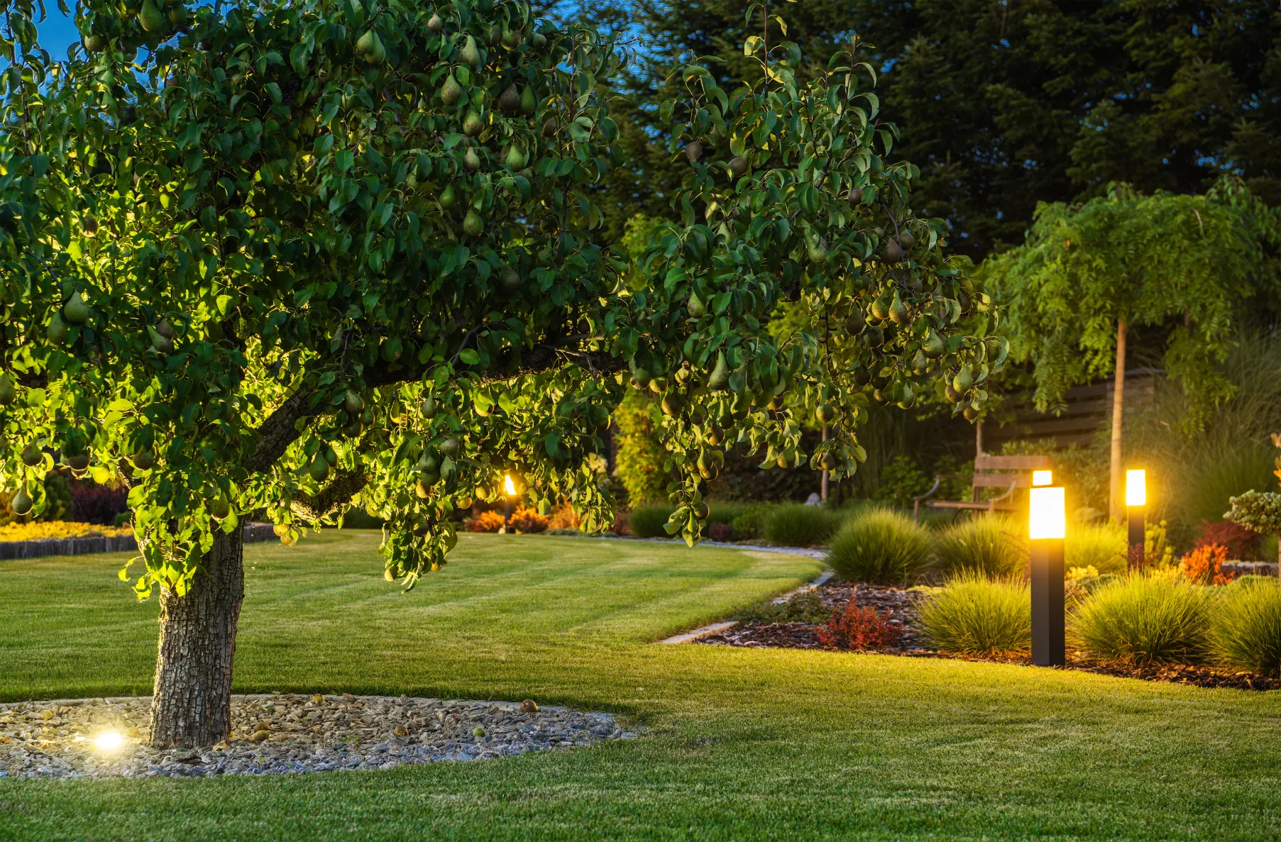 landscape-light-h A garden at dusk with a lit tree, manicured lawn, and glowing pathway lights.