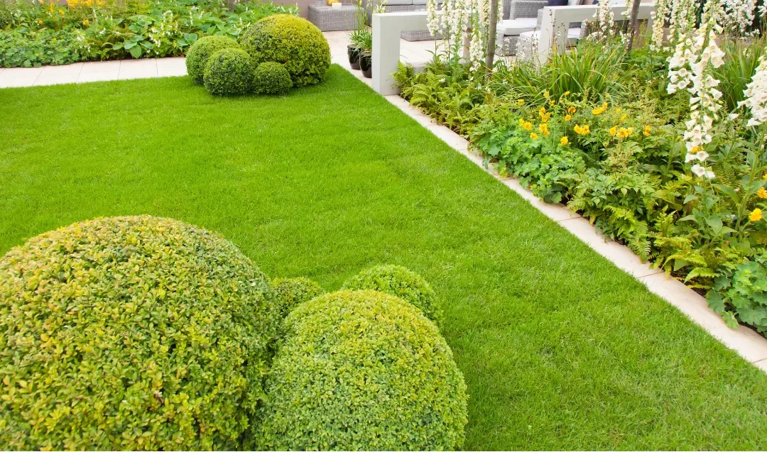 The Benefits of a Custom Lawn Irrigation System