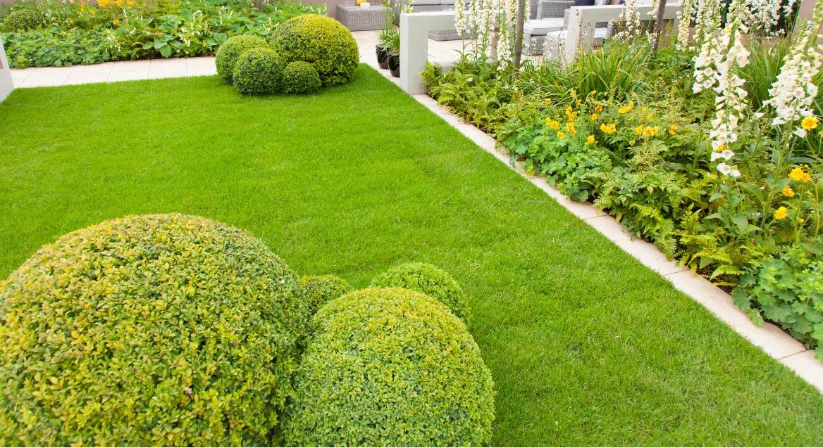 Well-manicured garden with trimmed bushes, lush green grass, and blooming yellow and white flowers.