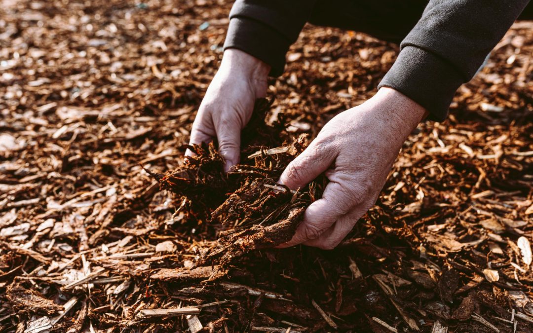 What Most People Get Wrong About Mulching (And How to Do It Right)