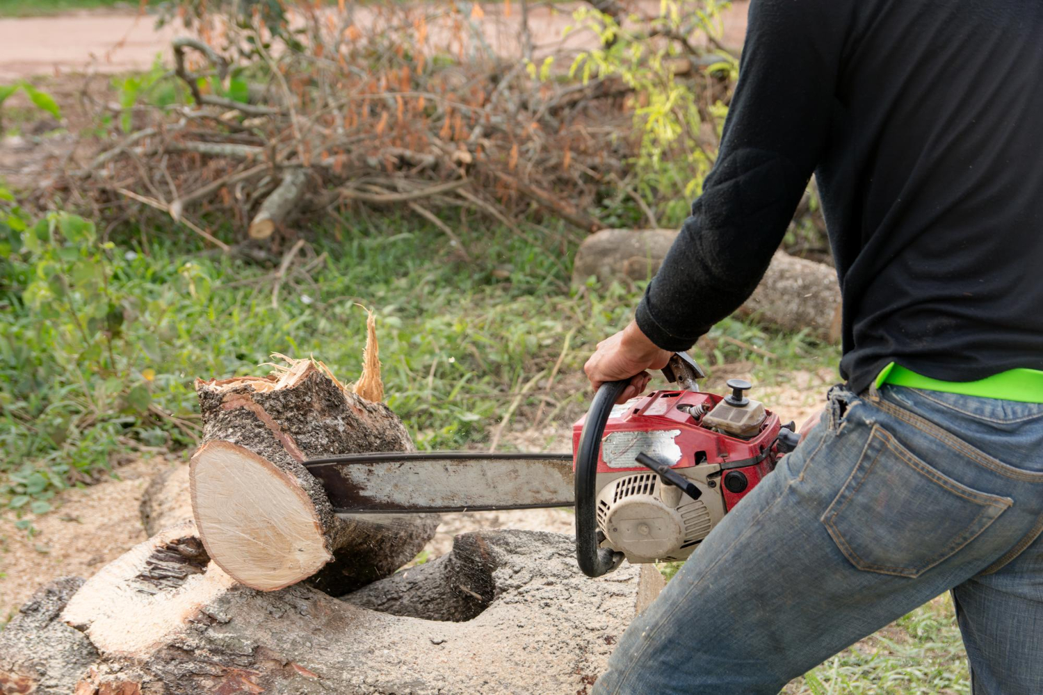 Person cutting a tree trunk with a chainsaw outdoors, surrounded by grass and logs.