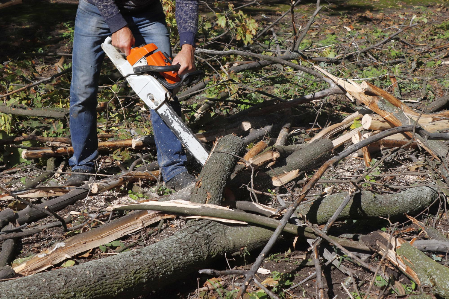 Person using a chainsaw to cut fallen branches and logs on the ground in an outdoor setting.